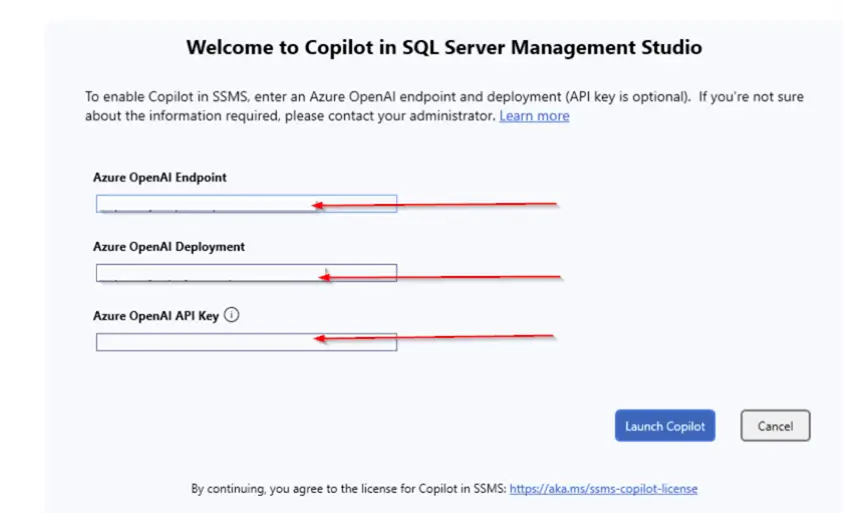 Copilot setup required fields
