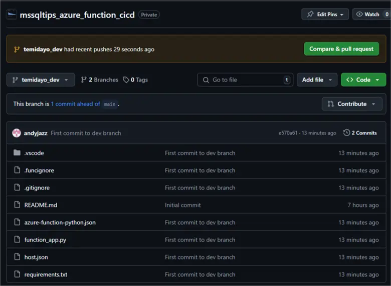 GitHub Repository