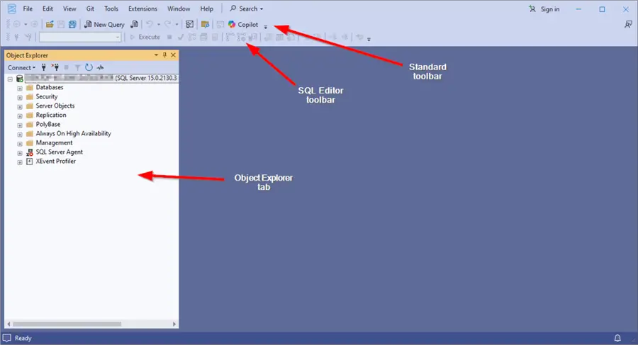 SSMS main form