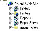IIS standard