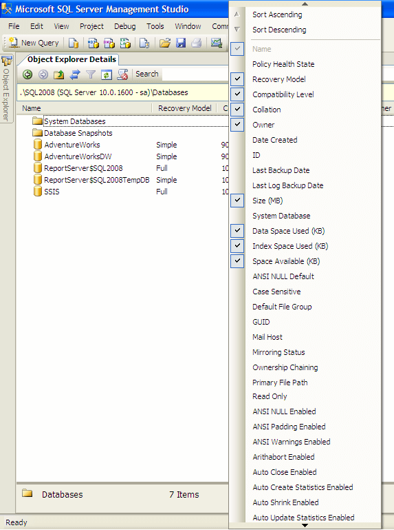 object explorer details