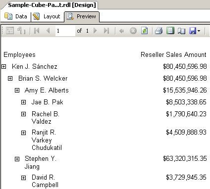 ssas report preview