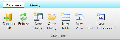 working with database manager
