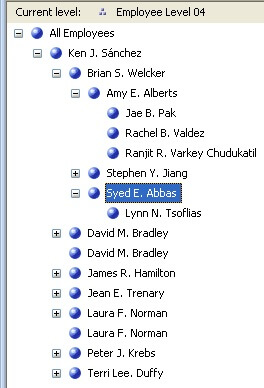 in ssas browse the parent attribute of the employee demension