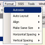 SQL Server Integration Services Autosize feature