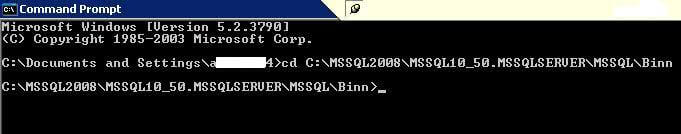 Stop the SQL Server Services