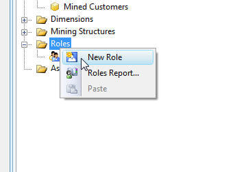 New Role