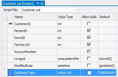 Add a CustomerType column to the Customer table