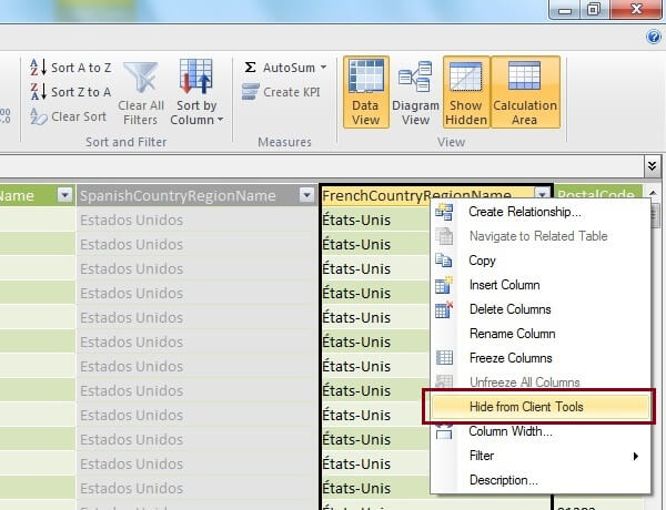 Hiding Column(s) from Client Tools in Grid View