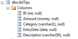the SQL Server Management Studio's display of the destination table