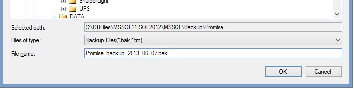 Enter the file name.