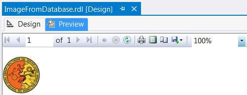 The final step is to view the report that renders an image that is retrieved from the database