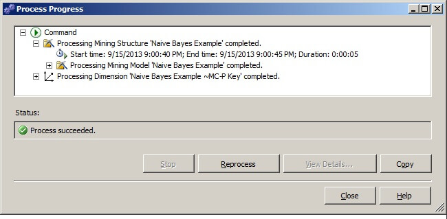 The Process Progress window will display