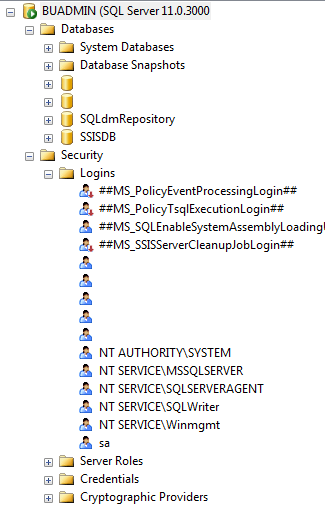 Once SQL Server comes back online, you should see all the databases, logins, jobs, etc. back to normal