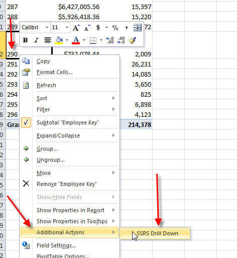 SSRS Drill Down Action