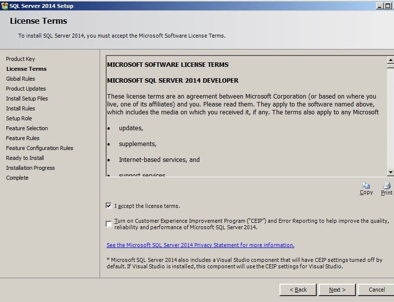 click on "I accept the license terms"