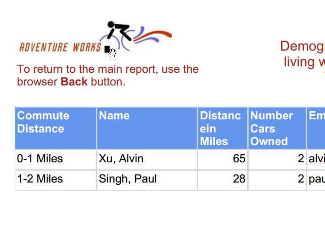 pdf report