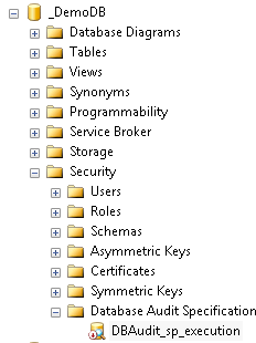 Database Audit Specification