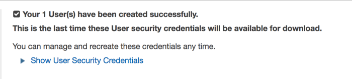 Click the "download credentials" button