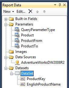 Report Data Pane after creating main dataset