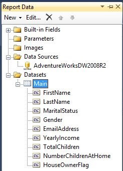 Report Data Pane After Adding Dataset