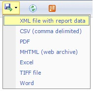 Report_Preview_Shows_All_Rendering_Extensions
