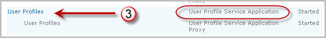 user profiles