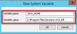 New System Variable