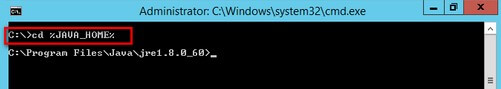 C:\>cd %JAVA_HOME%” /></div><p>To test if Java is working properly, type the following command to get the version of the JRE that you’ve installed:</p><div class=