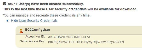 Access Keys for the IAM User