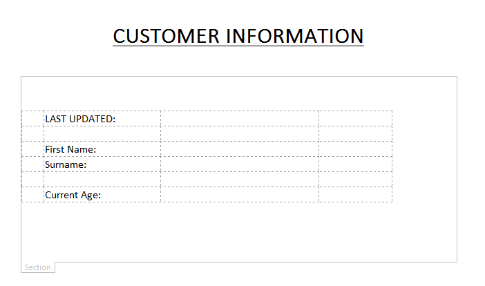 Labels and fields added to the InfoPath 2013 form