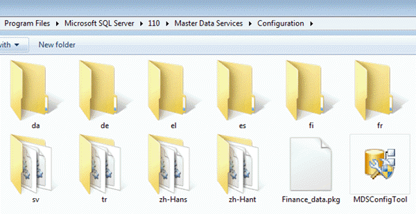 Package and MSDModelDeploy