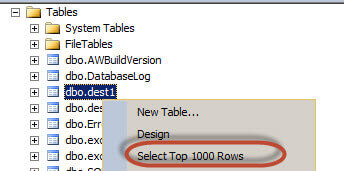 SSIS Parameters vs Variables