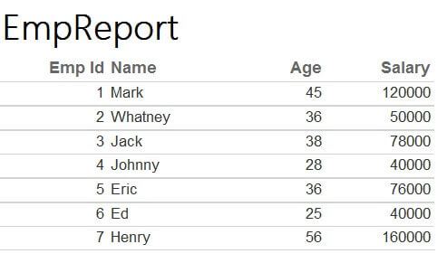 SSRS Report with all of the Employee data