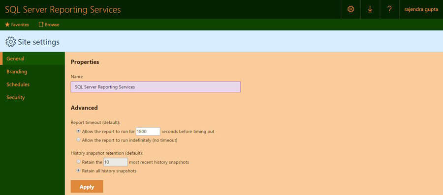 SQL Server 2016 Reporting Services Custom Branding Example