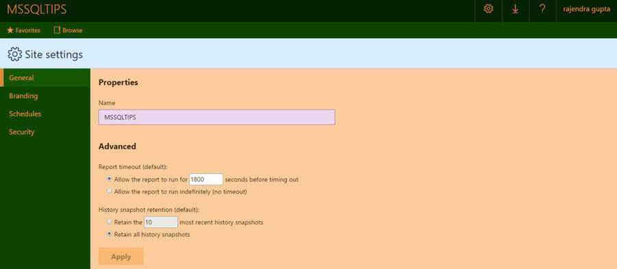 MSSQLTIPS in the header of the SQL Server Reporting Services Portal