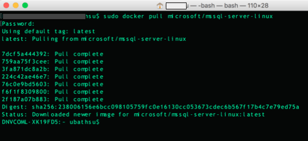 mac terminal window