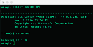 mac terminal window