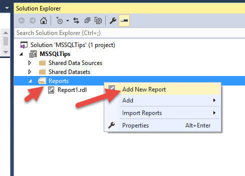 New Report in SSRS