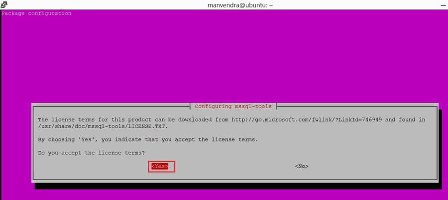Accept the license terms during installing SQL Server tools