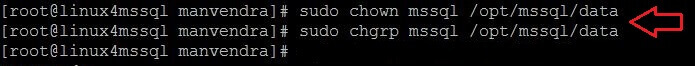 change owner and group of directory to mssql