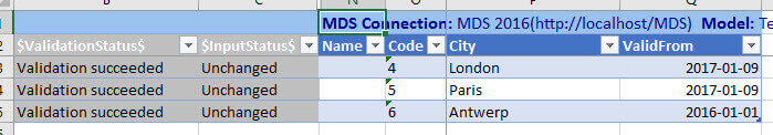 Validation succeeded in Master Data Services