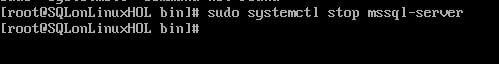 SQL Server service status