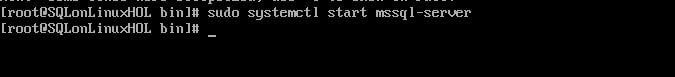 Start the SQL Server Services