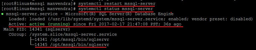 How to Change SQL Server Port Number for a Linux Server
