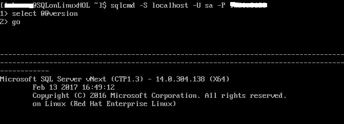 SQL Server Version