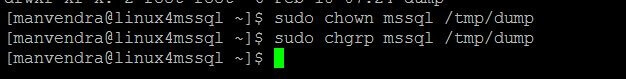 change owner and group of directory to mssql