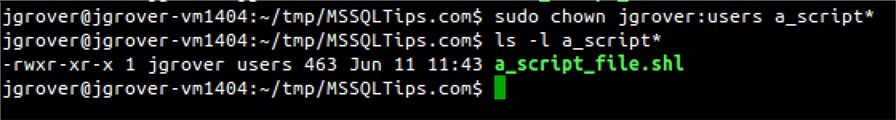 script file