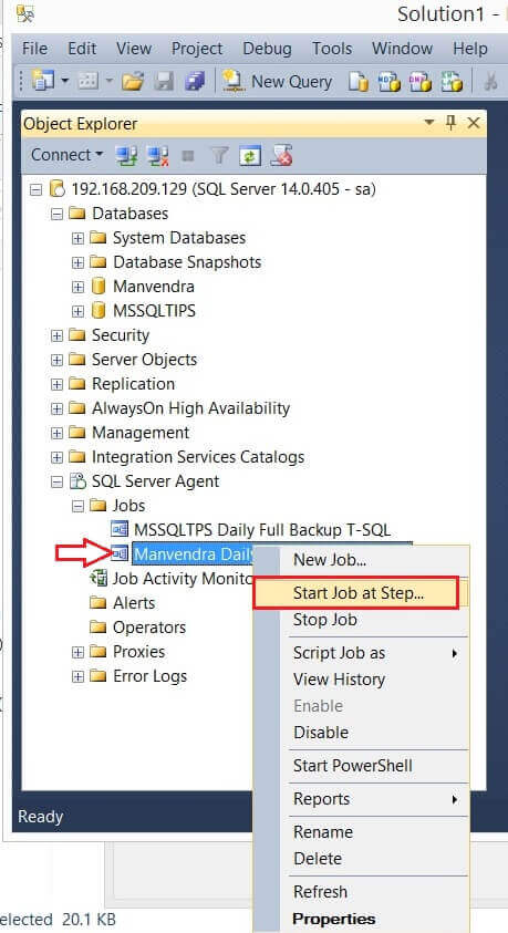 How to create SQL Server Agent Jobs on a Linux based instance using ...