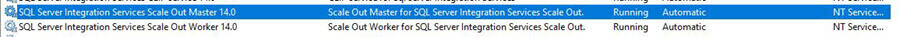 SQL Server Scale Out Master and Worker services